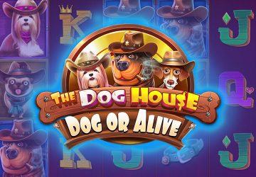 Игра The Dog House Dog Or Alive в DasDQ казино